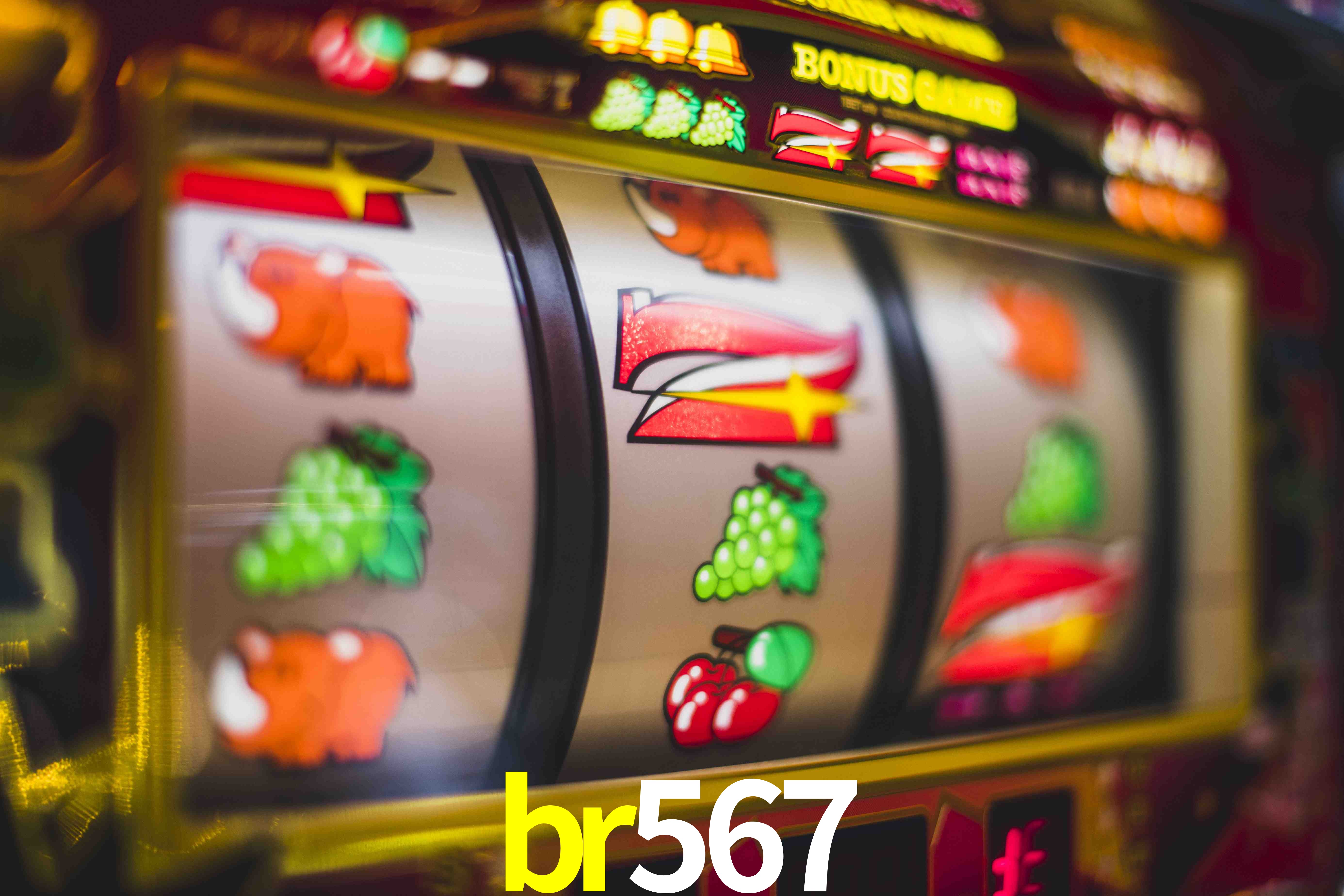 Sports Statistics br567